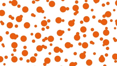 resultaat oranje