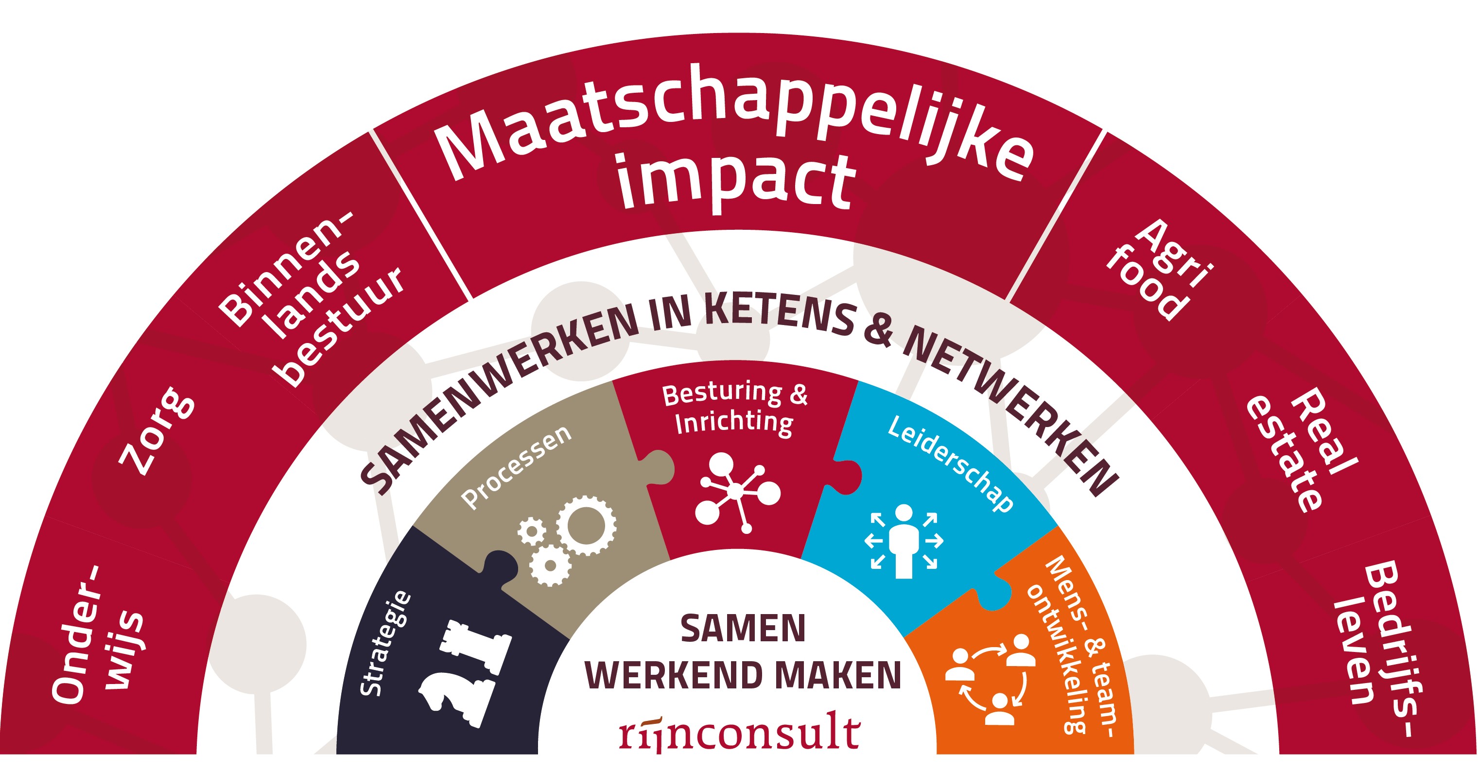 structuur Rijnconsult