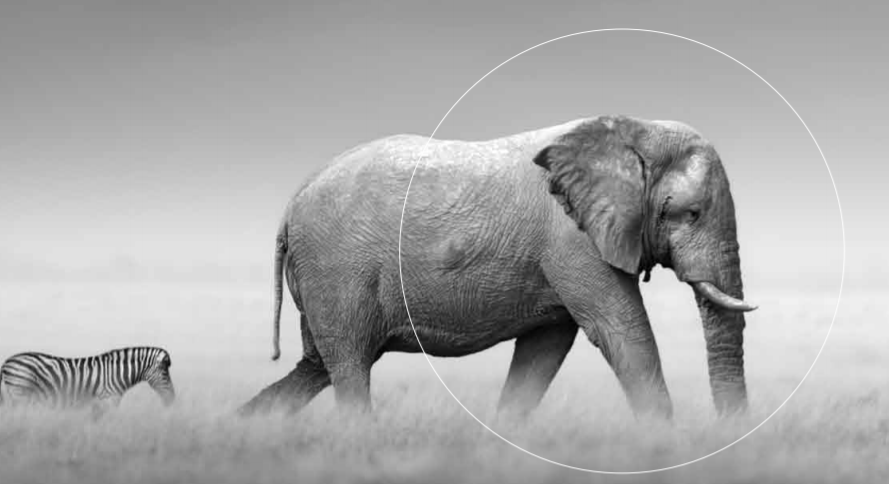 olifant.png