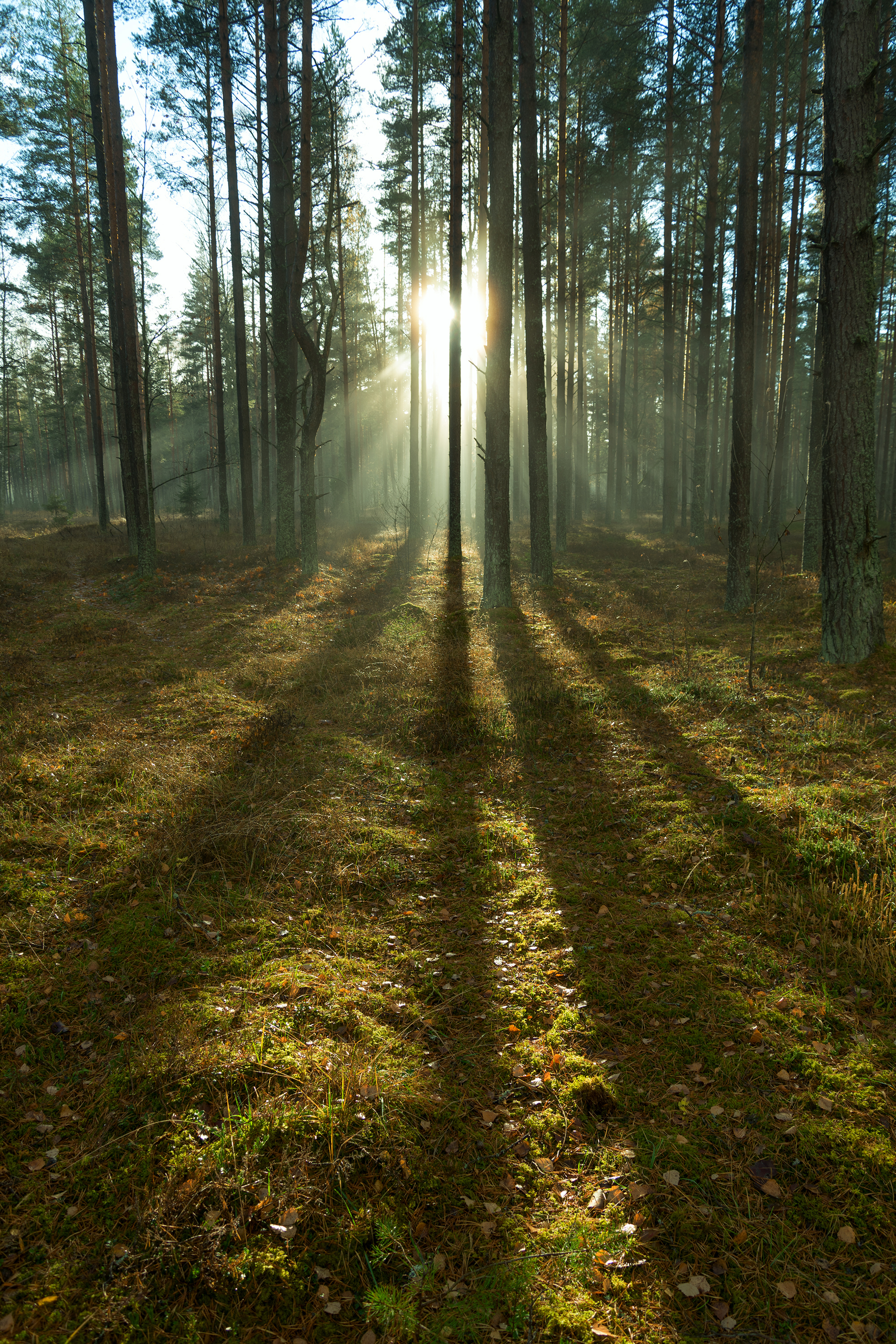 shutterstock_336622358.jpg