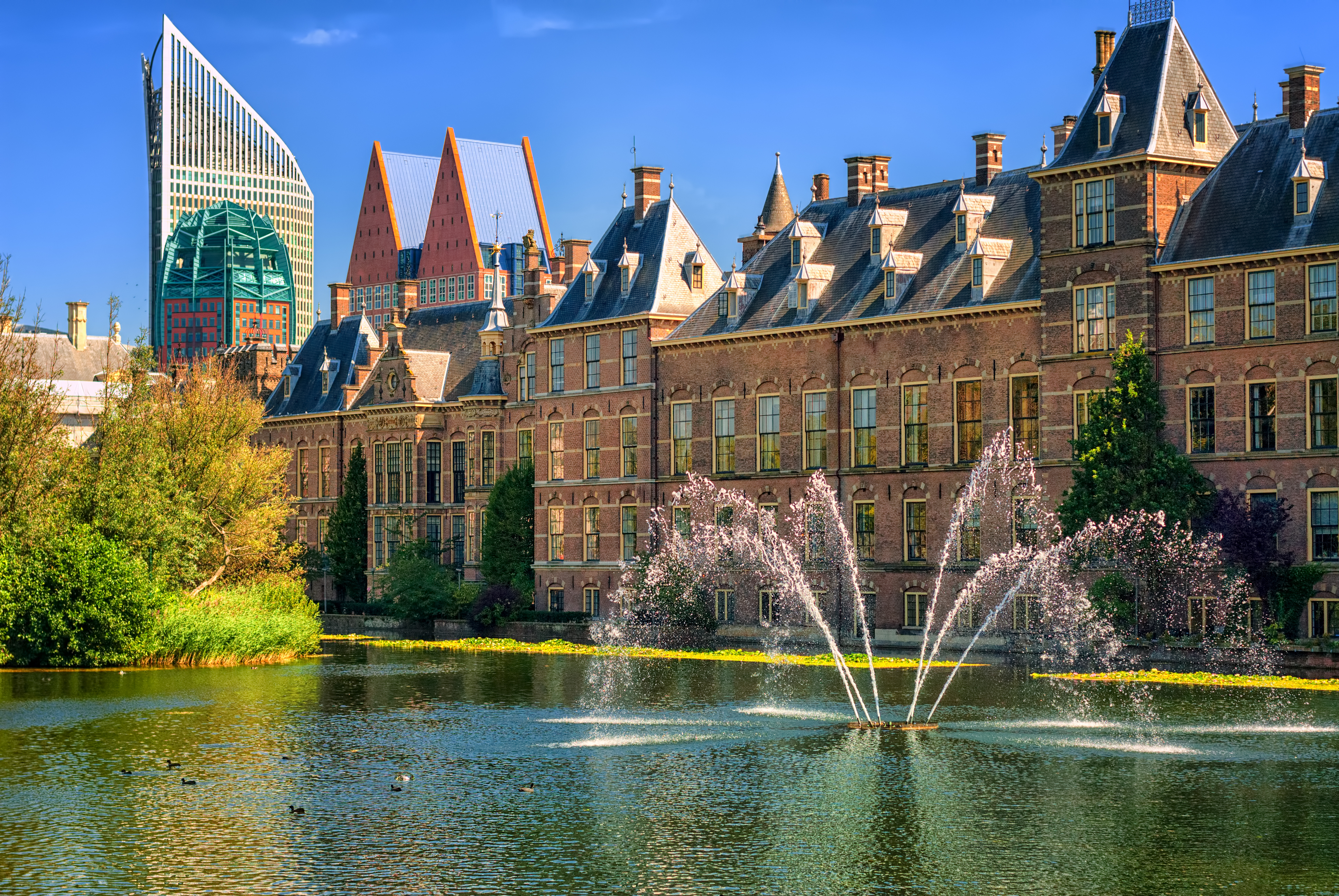 gemeente den haag