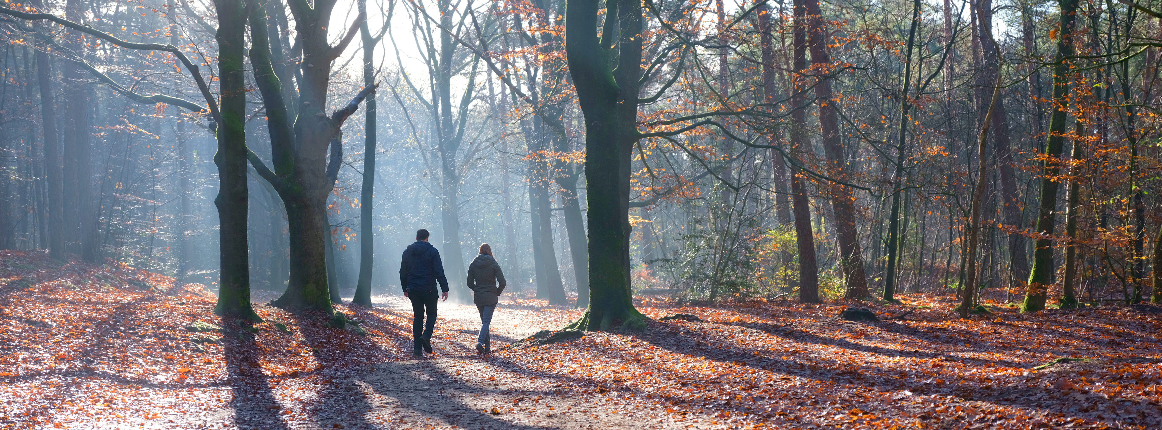 wandel coaching