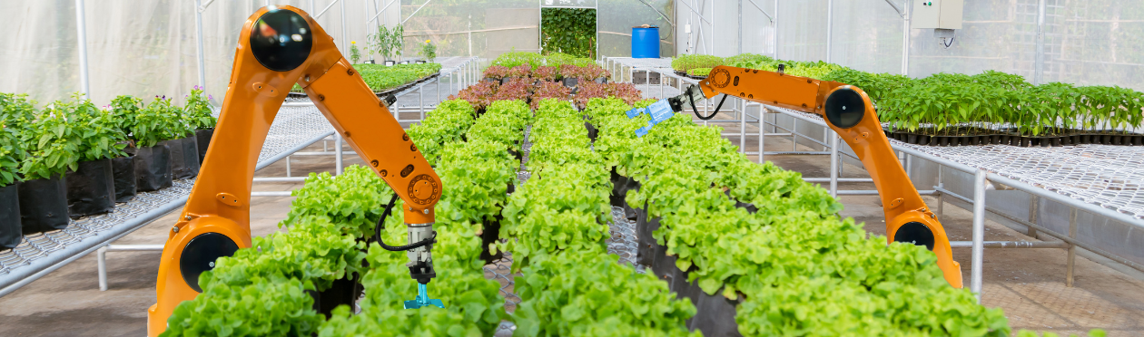 Innovatie agri