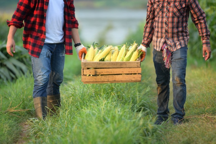 shutterstock_1422476372 samenwerken agri.jpg