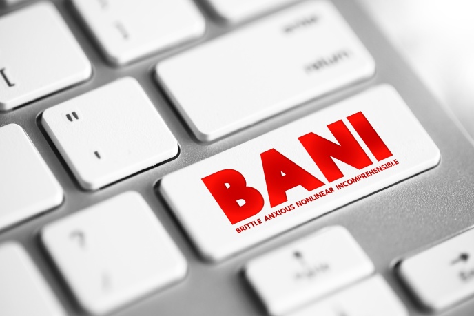 BANI