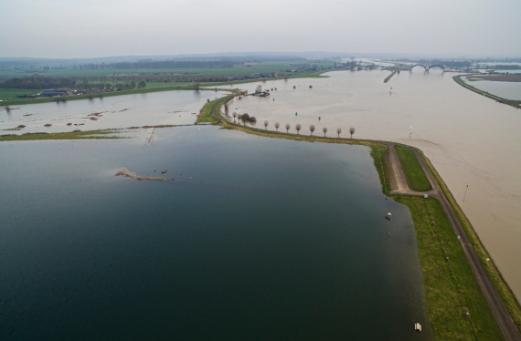 Rijnlands Organiseren