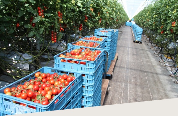 foodportzeeland.jpg
