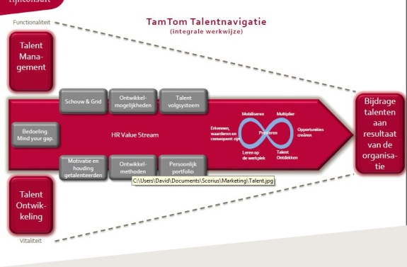 tamtom schema.jpg