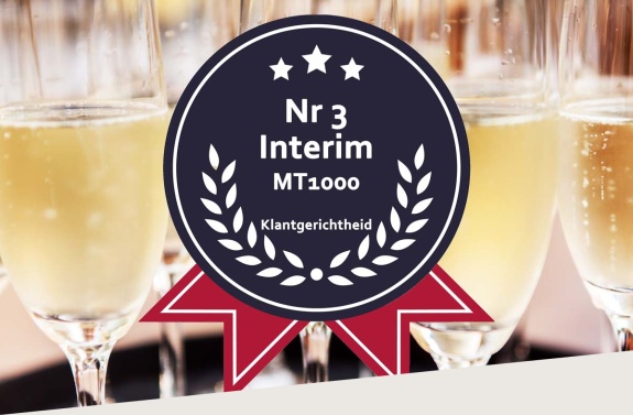 Interim nr3