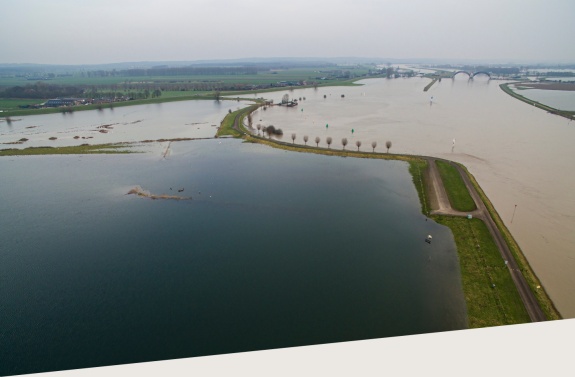Rijnlands Organiseren