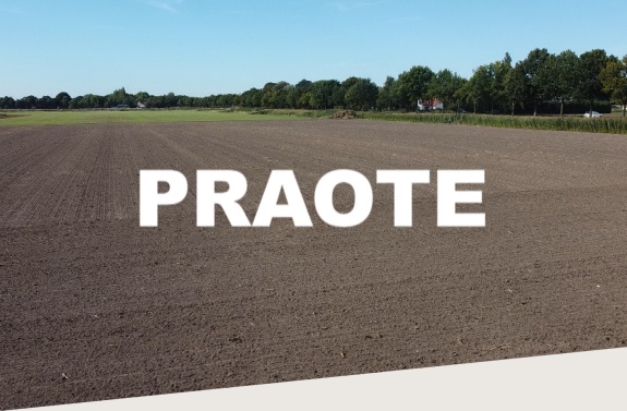 praote.jpg