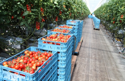 foodportzeeland.jpg
