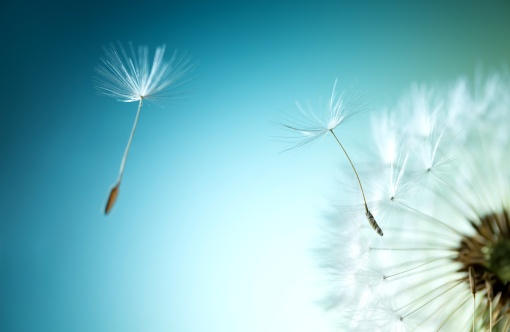 shutterstock_282705149.jpg