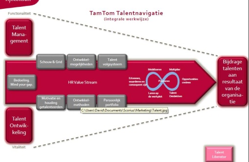 tamtom schema.jpg