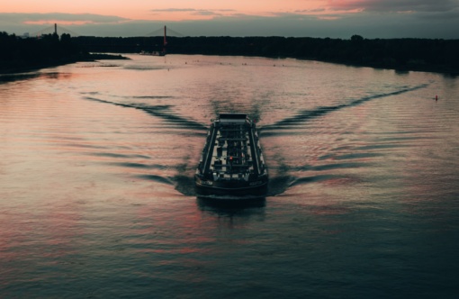 Over organisaties die niet bestaan en bloemkoolstructuren