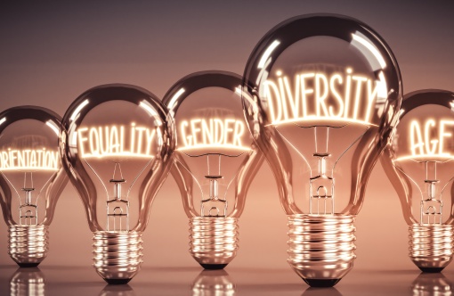 diversiteit en inclusie