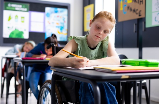 inclusief onderwijs