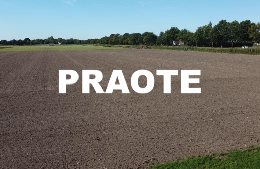 praote.jpg